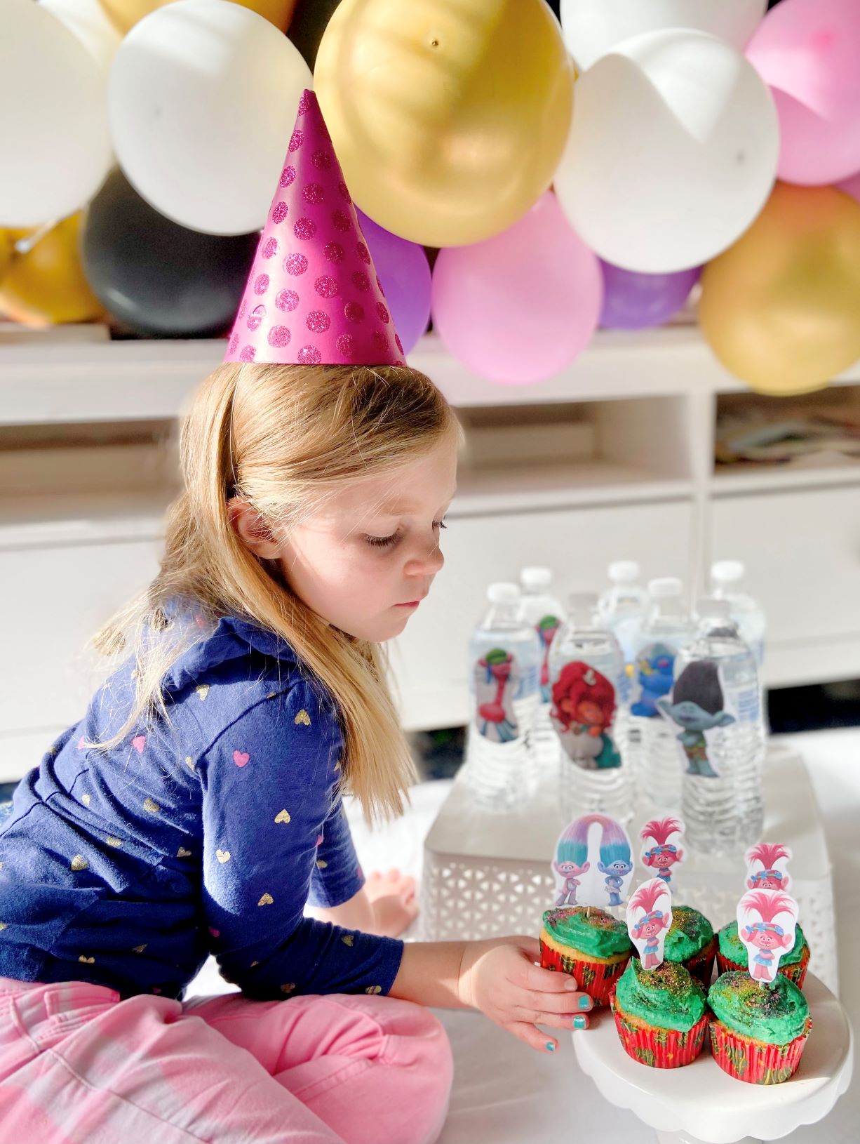 Trolls Birthday Party for Kids