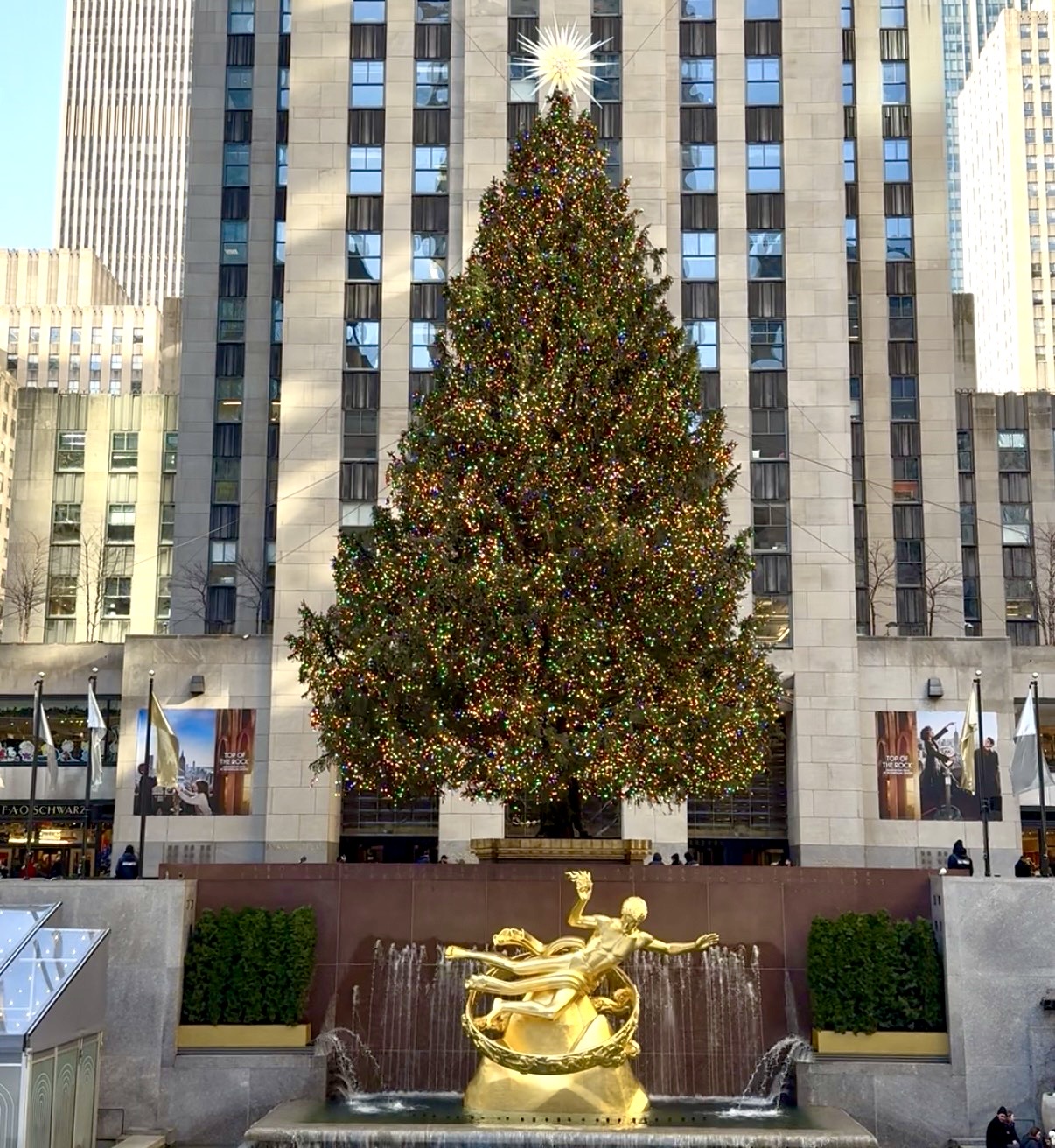 Christmas Tree Rockefeller Center, NYC