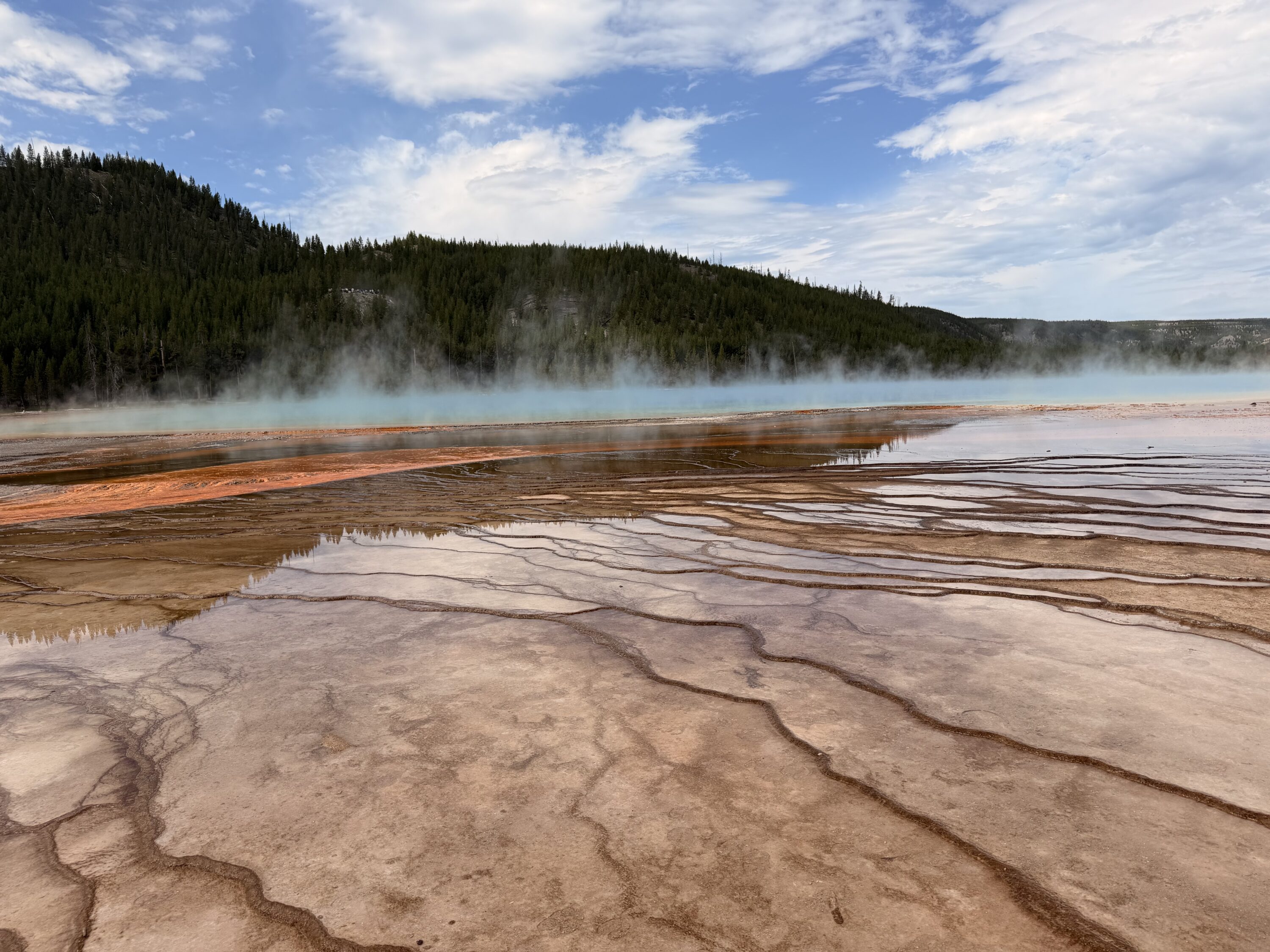 Beautiful spring Yellowstone